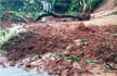 Heavy rains lashes Karnataka, landslides in Kodagu district